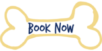 Dog Boarding and Day Care San Marcos, Texas