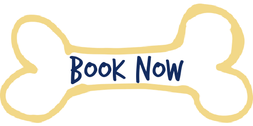 Dog Boarding and Day Care San Marcos, Texas