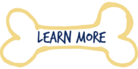 Dog Boarding and Day Care San Marcos, Texas