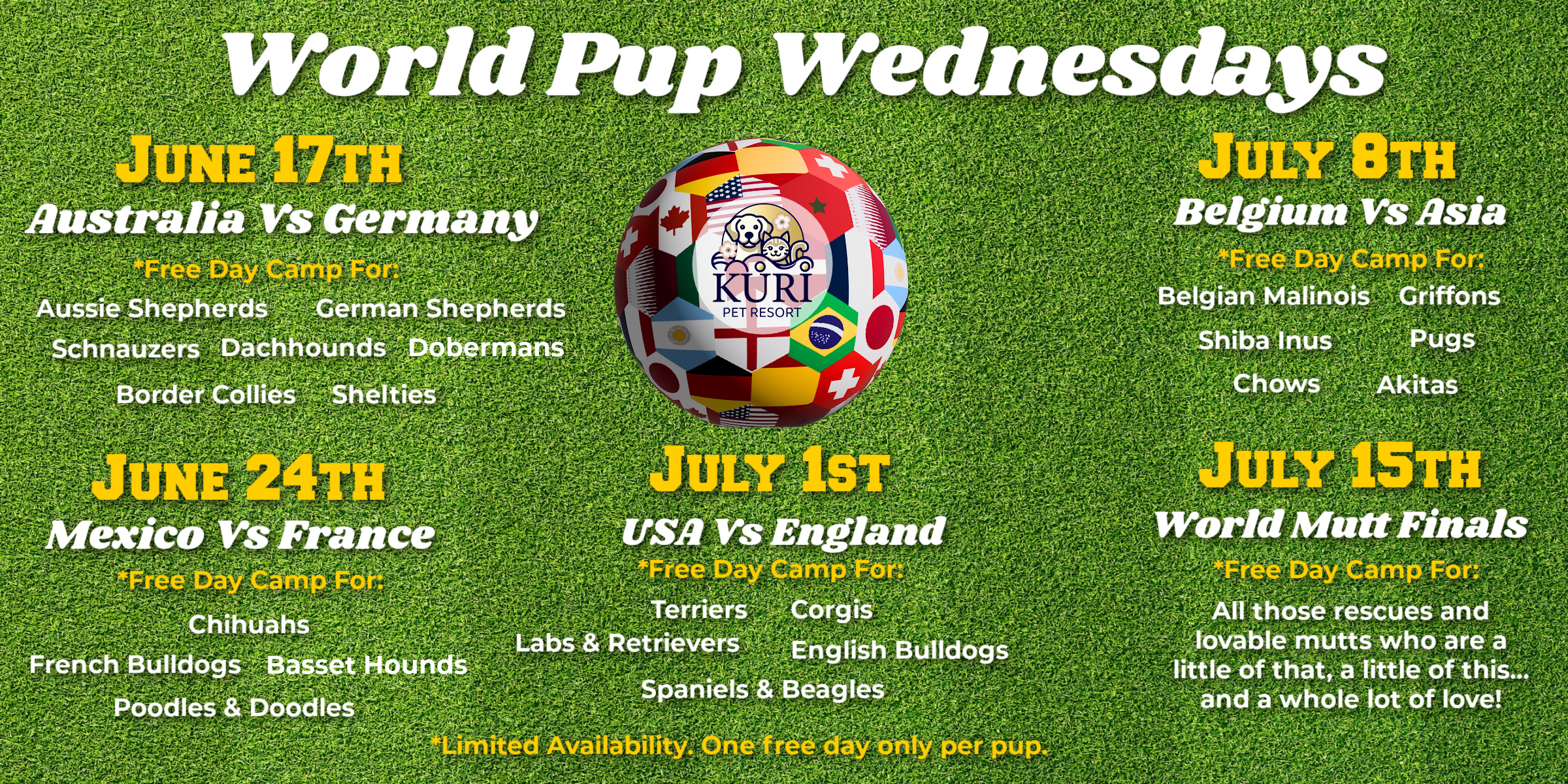 World Pup Kuri Pet Resort Boarding and Day Camp